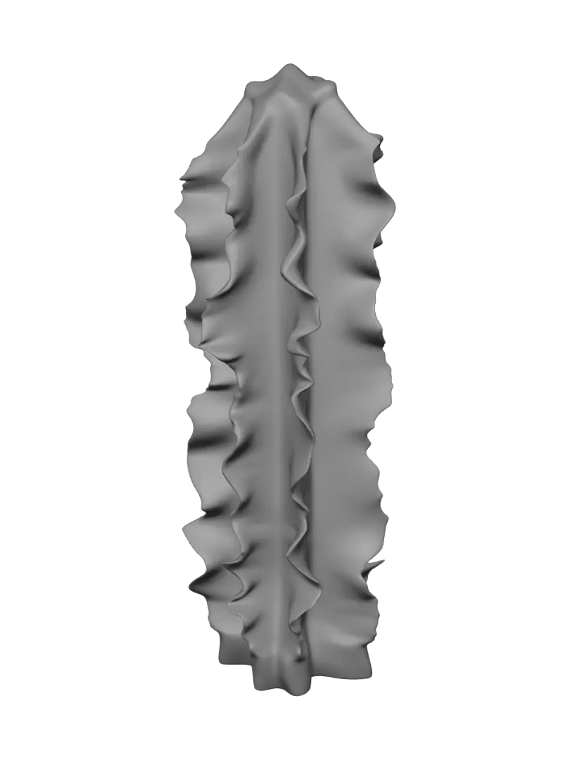 sculptures
