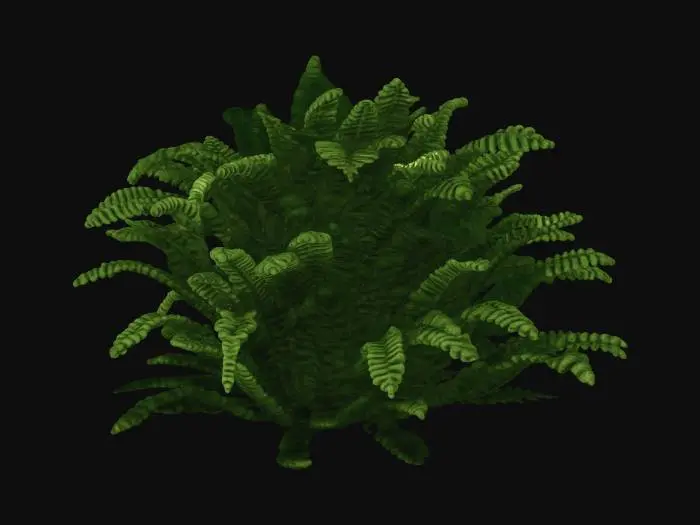 3D model for Realistic Bush