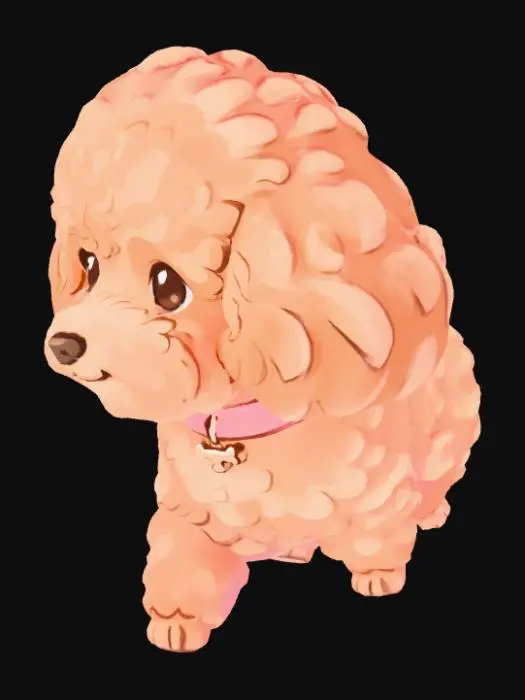3D model for Fluffy Poodle