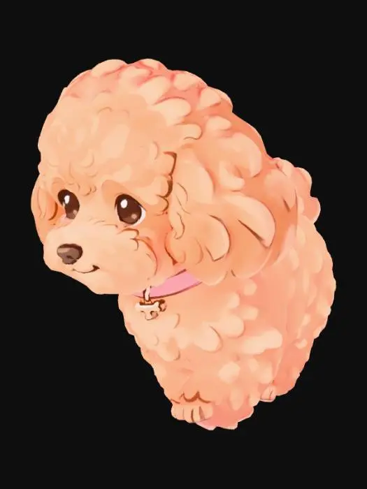 3D model for Fluffy Poodle