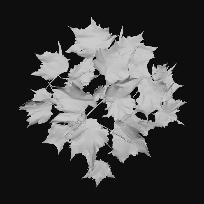 3D model for Realistic pile of autumn manple leaves