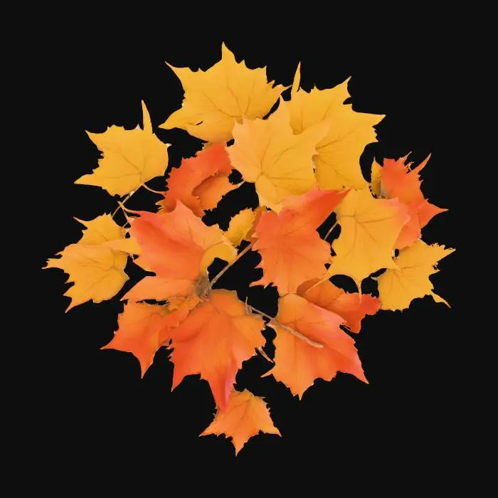 3D model for Realistic pile of autumn manple leaves