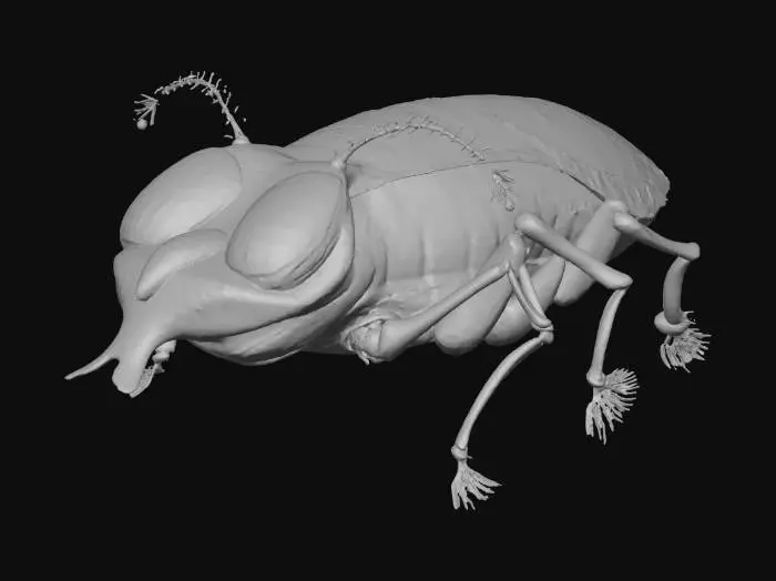 3D model for Mechanical Bug