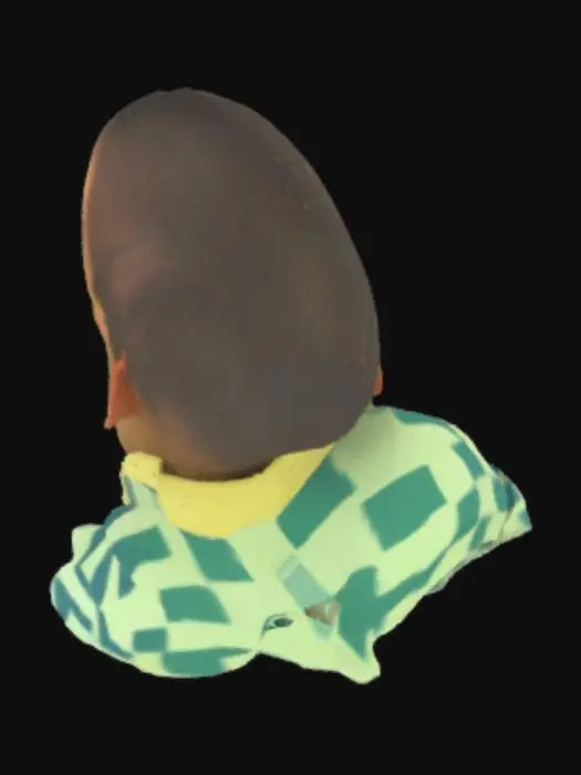 3D model for Curious Gaze