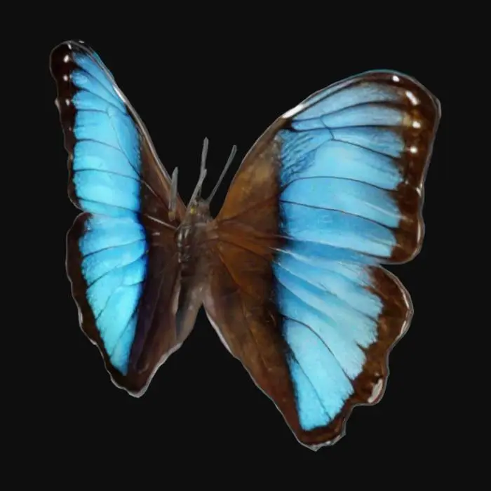 3D model for Blue Monarch