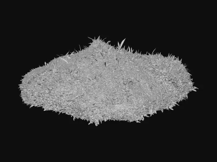 3D model for Japanese stiltgrass