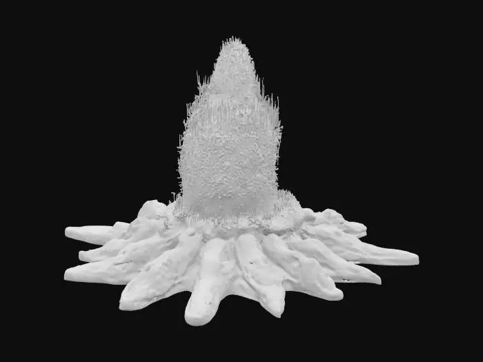 3D model for [Wyoming] a meticulously detailed and accurate geyser in Yellowstone National Park that is shooting confetti, #AroundTheWorld#