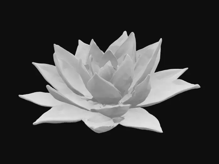 3D model for Luminescent Echeveria