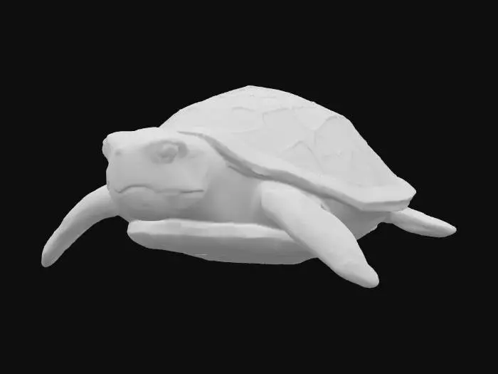 3D model for Kaleidoscope Turtle, #PBR#