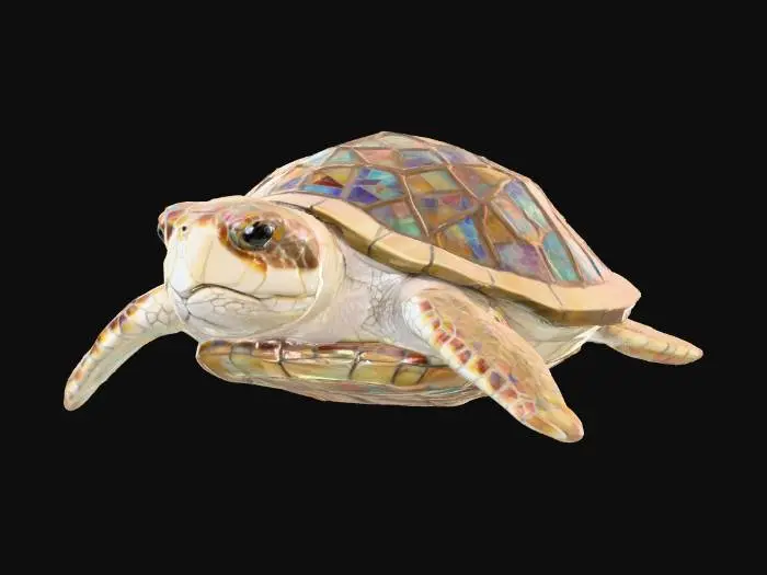 3D model for Kaleidoscope Turtle, #PBR#
