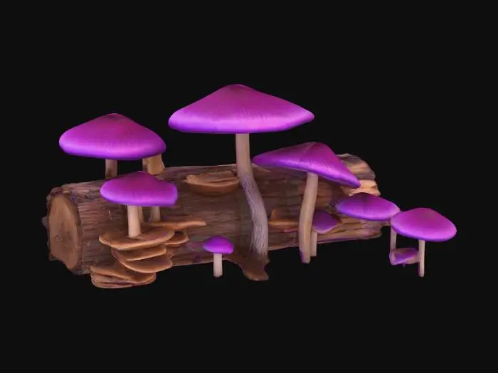 3D model for Enchanted Fungi Forest, #PBR#