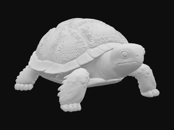 3D model for Kiwi Tortoise, #food#