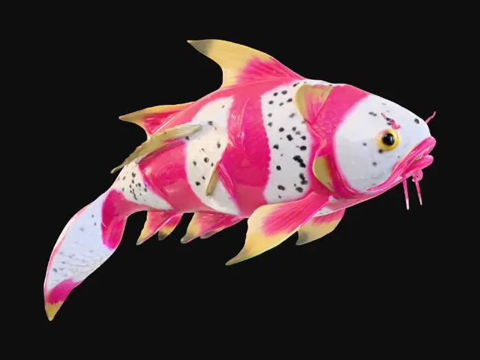 3D model for Dragonfruit Fish, #food#