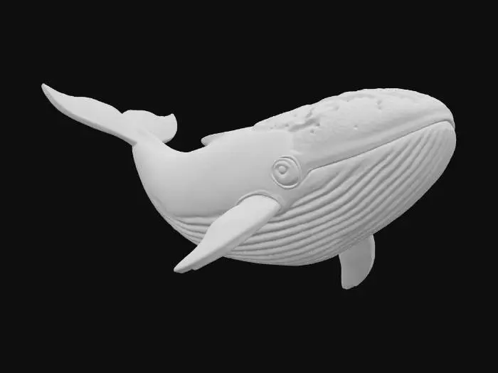 3D model for Watermelon Whale, #food#