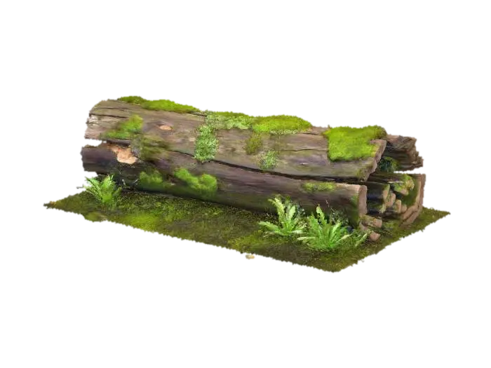 Forest Log AI 생성 3D 모델