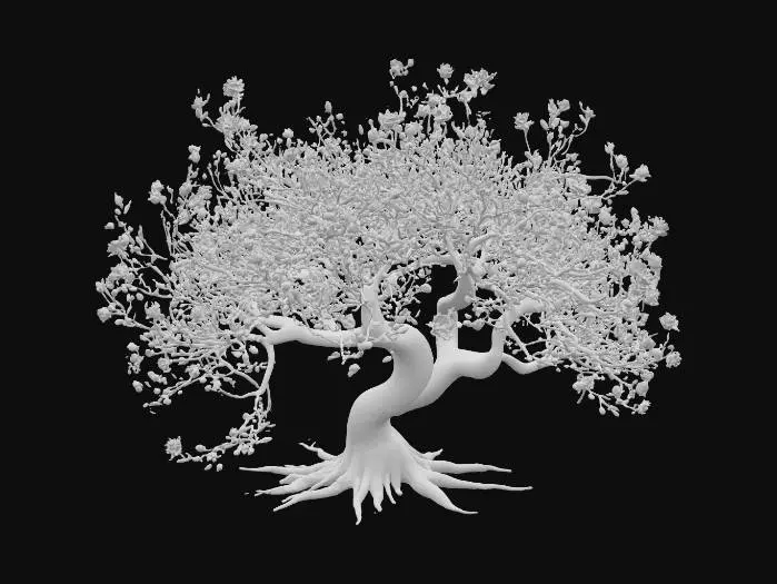 3D model for A sprawling forest bush, its slender, arching branches covered in fine, bristly hairs. Small, delicate leaves of a pale, muted green provide a soft, airy texture. Scattered along its branches are clusters of tiny, star-shaped purple blossoms, their petals papery and fragile. The branches feel flexible but slightly rough, creating a graceful, undulating form that adds subtle color and texture to the forest floor.