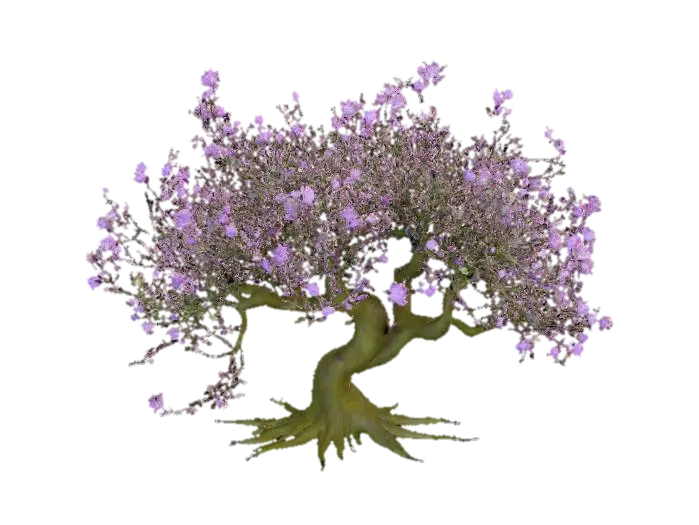 3D-модель A sprawling forest bush, its slender, arching branches covered in fine, bristly hairs.… - Foliage, згенерована ШІ