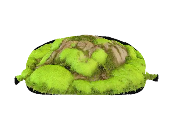 A beautiful, rounded moss clump encircles the base of a towering tree trunk, forming a… - Bark 3D model, vytvořený pomocí AI