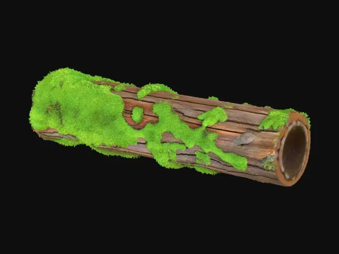 3D model for A dense, vibrant emerald green moss clump completely blankets the top surface of a fallen, decaying log. The moss conforms to the log's subtle curves, its velvety texture appearing incredibly soft and spongy. Where glimpses of the dark, porous wood peek through, it feels rough and damp. The entire clump is cool and heavily saturated, providing a lush, living cover over the ancient timber.