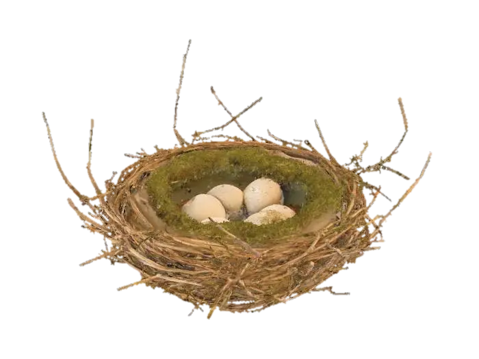 Model 3D A rustic bird's nest, meticulously woven from dry, interwoven twigs and slender grass…, dijana oleh AI