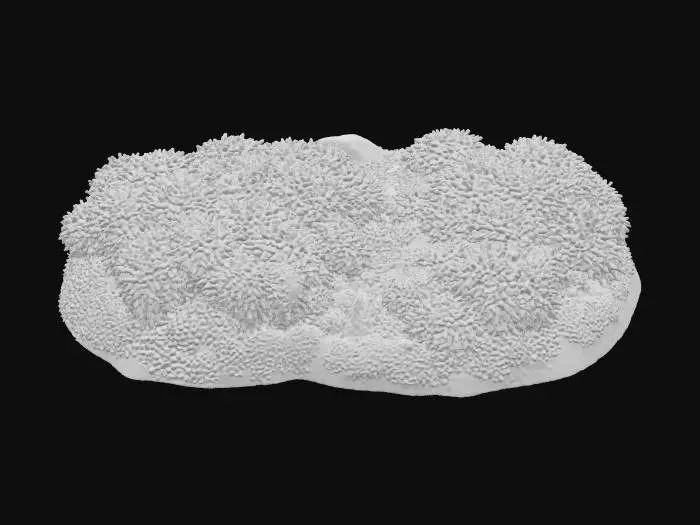 3D model for A dense, rounded clump of vibrant emerald green moss, appearing incredibly lush and soft. Its surface is velvety and consistently smooth, conforming gently to the underlying ground. The individual moss strands are tightly packed, creating a springy, cushion-like texture that feels damp and cool to the touch. This compact, organic mound offers a serene and inviting presence on the forest floor.