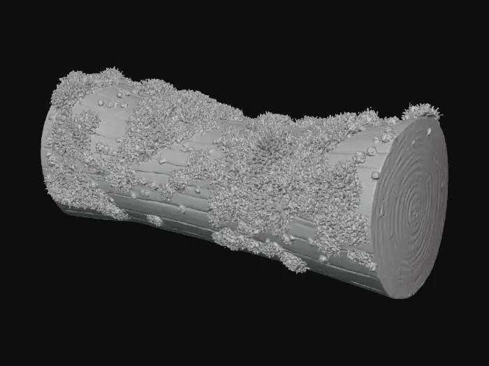 3D model for A dense, vibrant emerald green moss clump completely blankets the top surface of a fallen, decaying log. The moss conforms to the log's subtle curves, its velvety texture appearing incredibly soft and spongy. Where glimpses of the dark, porous wood peek through, it feels rough and damp. The entire clump is cool and heavily saturated, providing a lush, living cover over the ancient timber.