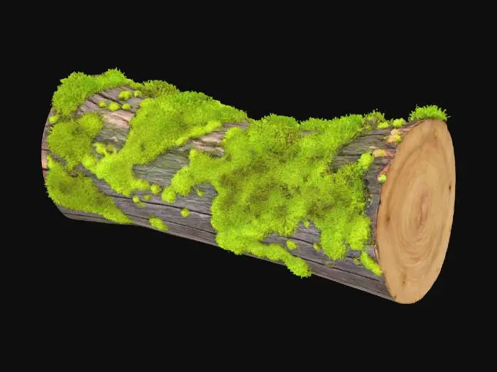 3D model for A dense, vibrant emerald green moss clump completely blankets the top surface of a fallen, decaying log. The moss conforms to the log's subtle curves, its velvety texture appearing incredibly soft and spongy. Where glimpses of the dark, porous wood peek through, it feels rough and damp. The entire clump is cool and heavily saturated, providing a lush, living cover over the ancient timber.