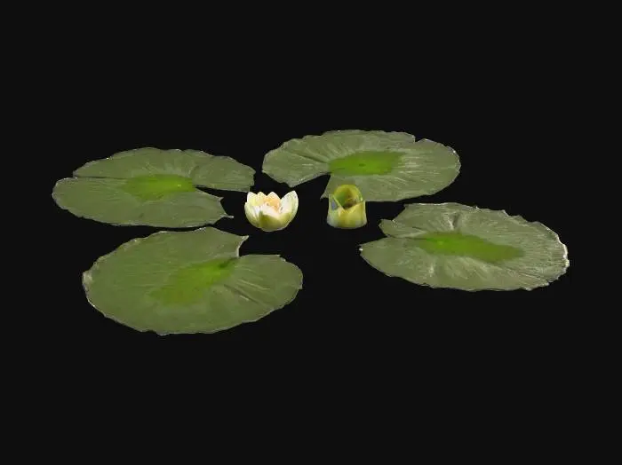 3D model for Lilypad Serenity