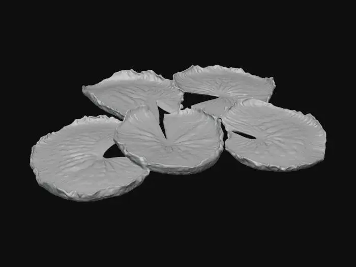 3D model for Lotus Whispers