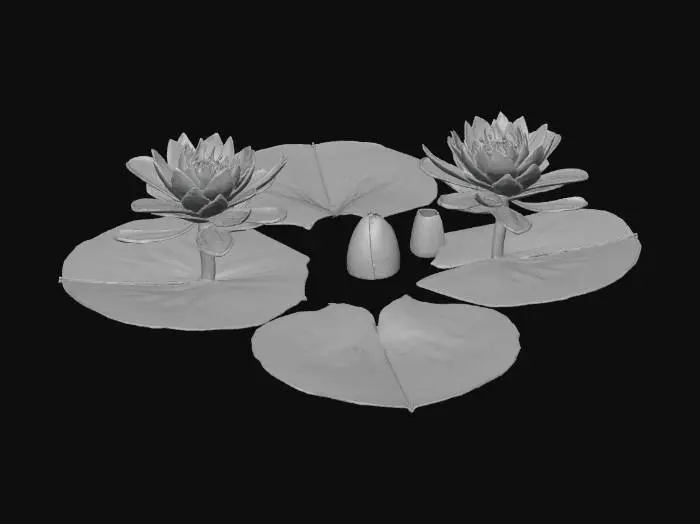 3D model for Serene Water Lilies