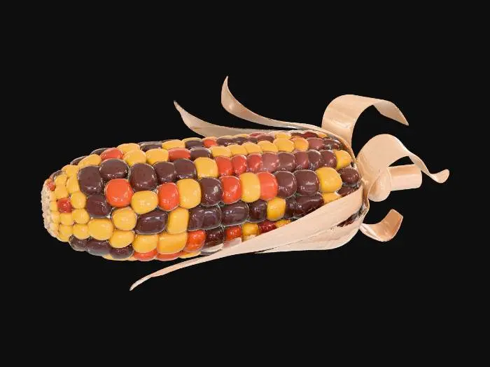 3D model for Colorful Kernel Corn, #Thanksgiving#
