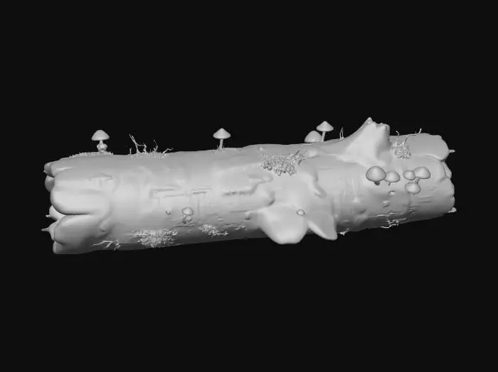 3D model for Neon Fungus Ridge