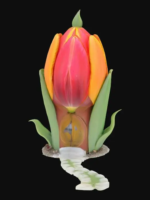 3D model for [Amsterdam] a tulip bulb house, #AroundTheWorld#
