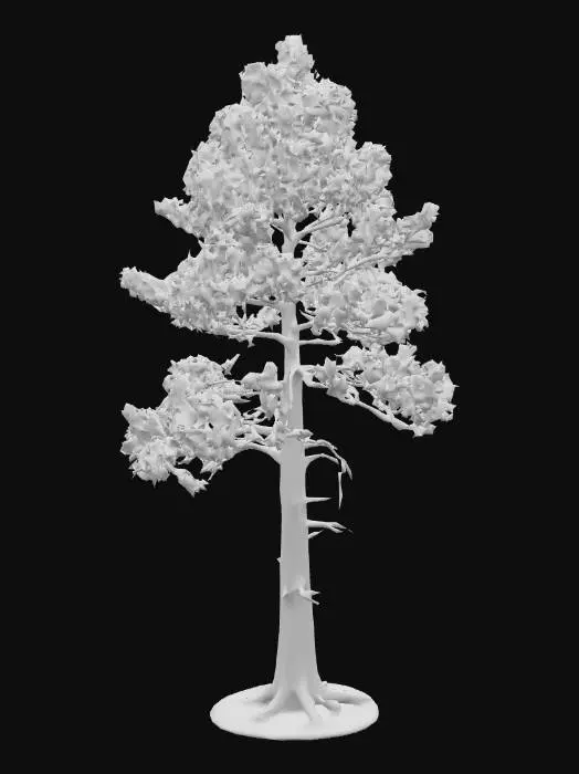 3D model for A towering forest pine tree 