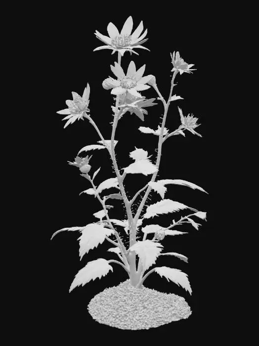 3D model for A sprawling forest shrub, its slender, arching branches covered in fine, bristly hairs. Small, delicate leaves of a pale, muted green provide a soft, airy texture. Scattered along its branches are clusters of tiny, star-shaped purple blossoms, their petals papery and fragile. The branches feel flexible but slightly rough, creating a graceful, undulating form that adds subtle color and texture to the forest floor.