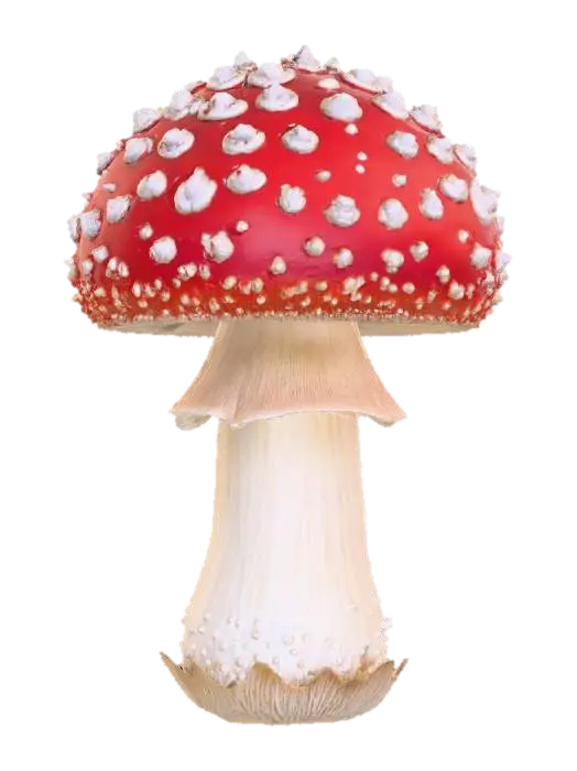 A prominent, classic toadstool mushroom, featuring a broad, domed cap of vibrant… - Stem 3D model, vytvořený pomocí AI