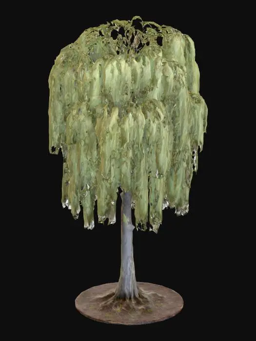3D model for A graceful willow tree, its broad trunk covered in deeply furrowed, greyish-brown bark. Numerous long, slender branches weep downwards, adorned with cascades of narrow, silvery-green leaves that shimmer in the light.