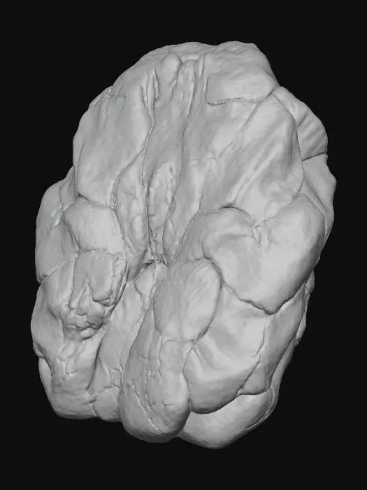 3D model for A formidable, irregularly shaped boulder, seemingly crafted from weathered brown sandstone, deeply grooved and pockmarked. Its entire surface is heavily encrusted with a rich tapestry of variegated mosses and lichens, ranging from deep olive to rusty red hues, creating a complex, textured landscape.