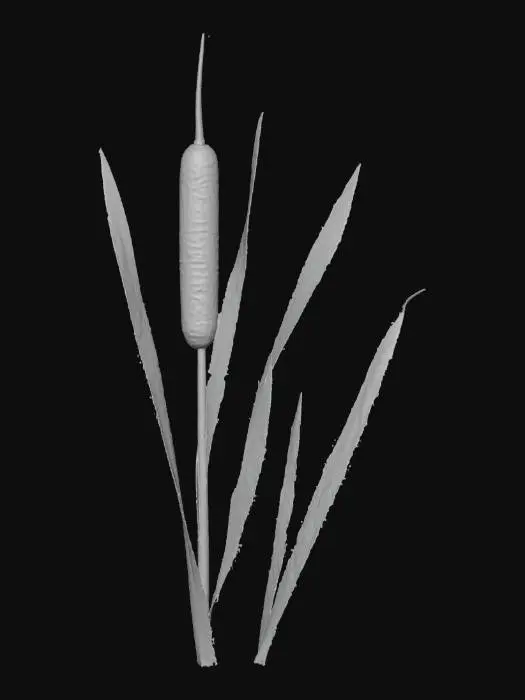 3D model for Cattail Serenity