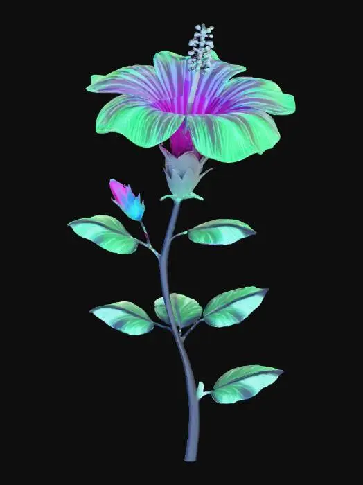 3D model for Luminous Hibiscus