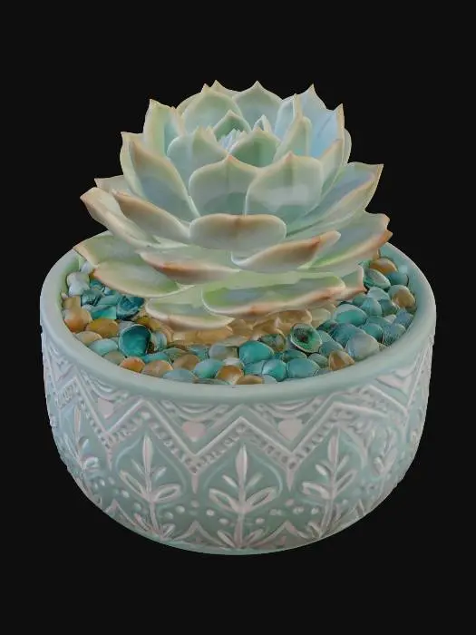 3D model for Aqua Rosette in Teal Pot