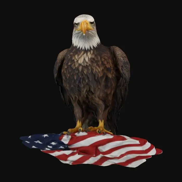 3D model for [United States] Ultra Realistic, Hyper Detailed, Bald Eagle sitting atop a folded American flag, #AroundTheWorld#