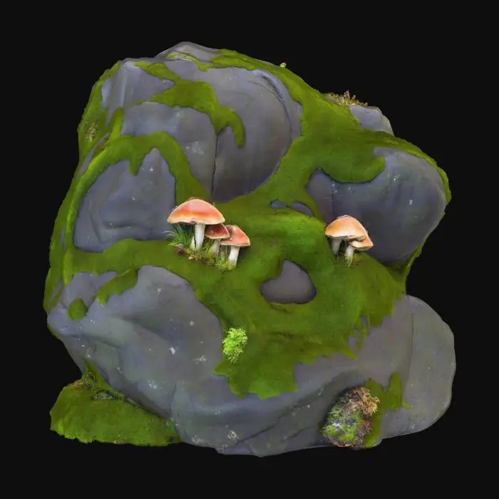 3D model for a beautiful enchanted mossy boulder with shelf mushrooms on it