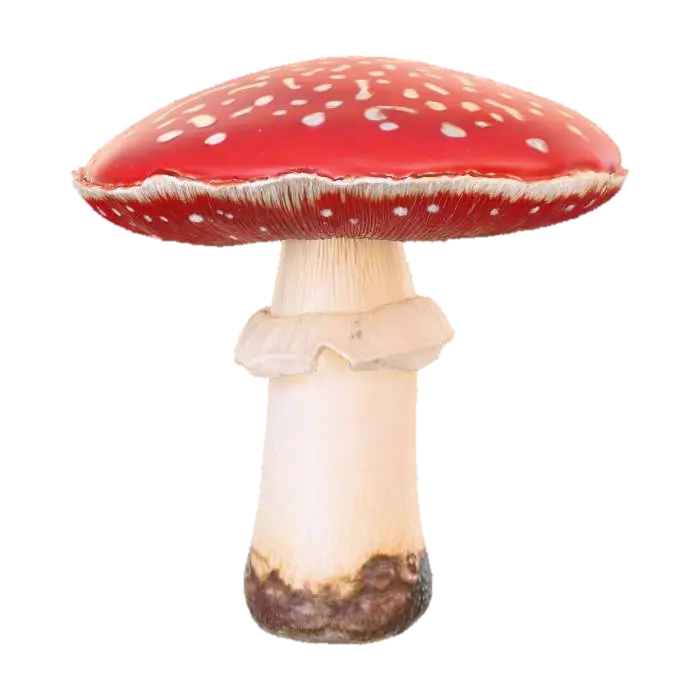 A prominent, classic toadstool mushroom, featuring a broad, domed cap of vibrant… - Stem 3D model, vytvořený pomocí AI