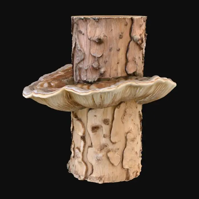 3D model for A large, shelf-like bracket fungus, growing in overlapping layers from the side of a tree trunk. Its tough, woody surface is banded in concentric rings of muted grey, earthy brown, and pale cream, with a velvety texture. The underside is porous and soft. It feels exceptionally hard and dry, yet its outer edge is slightly smoother, creating a rugged, organic, and durable structure.