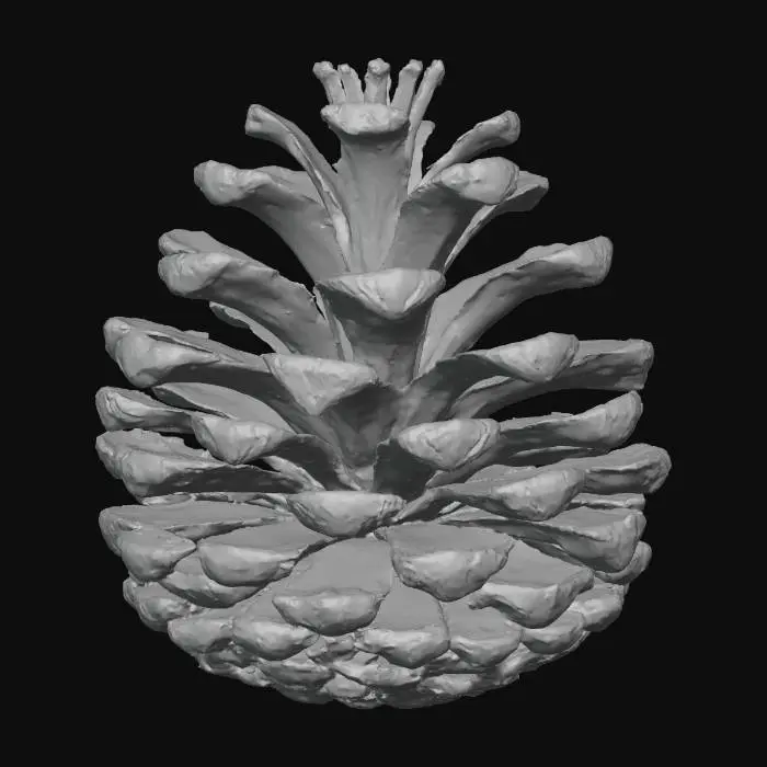 3D model for A classic pinecone, plump and oval-shaped, with overlapping, woody scales forming a textured spiral pattern. Its color is a rich, warm reddish-brown, fading to a lighter tan at the edges of each scale. The scales feel dry and firm, slightly rough and brittle to the touch, ready to release its seeds. Its form is robust and naturally symmetrical.