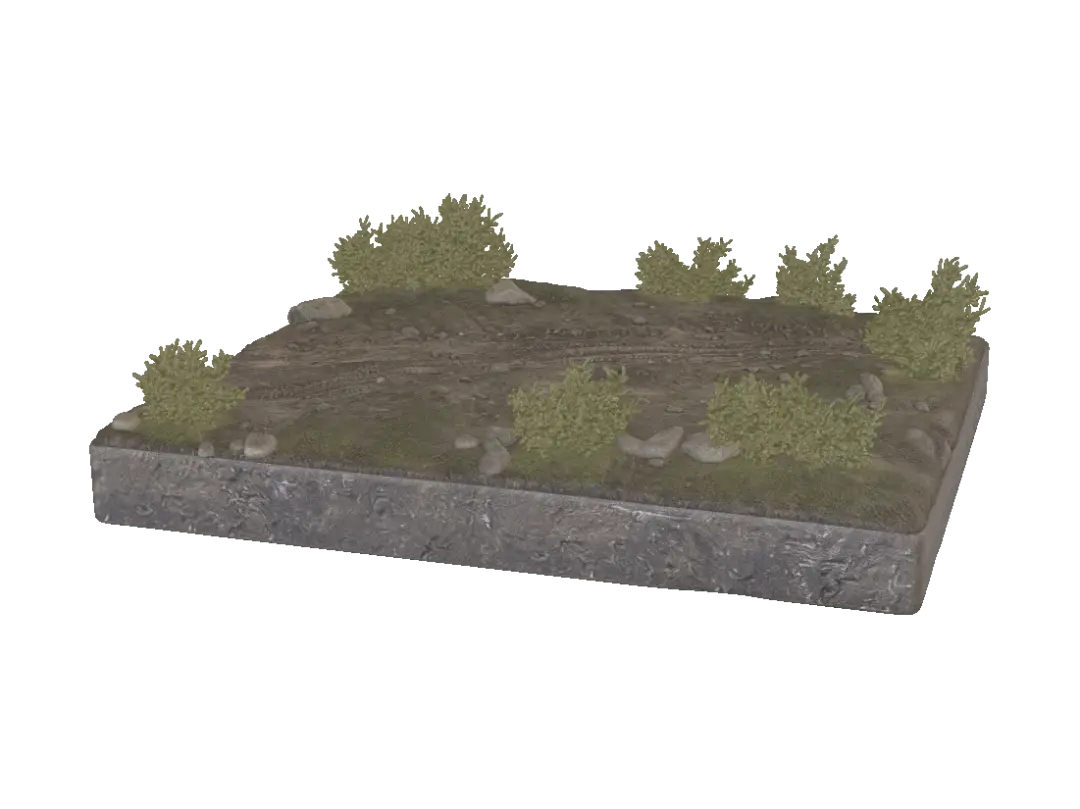 grass