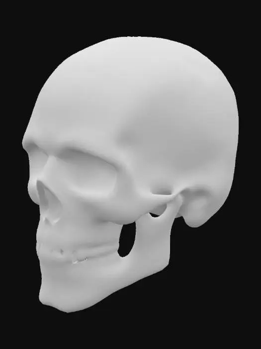 3D model for realistic skull with carved viking ornaments on surfaces

