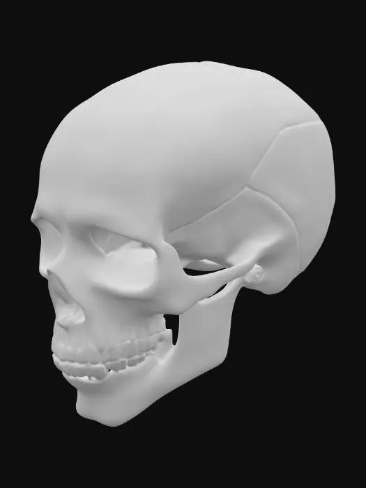 3D model for a skull with a carbon fiber surface
#PBR#