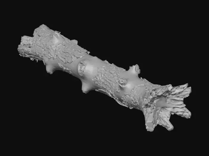 3D model for Create a highly detailed, realistic depiction of a long, fallen, weather‑beaten tree. The entire trunk should stretch across the scene, appearing aged, cracked, and deeply textured along its full length, with rugged bark, knots, splintered sections, and natural irregularities. Emphasize the sense of an extended, ancient tree lying on the ground rather than a short fragment. Use dramatic lighting to highlight the grain, fissures, and rough surfaces. The background should be clean and minimal to make the long fallen tree suitable as a miniature model reference.